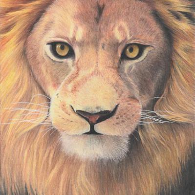 Desenho de Bianca Camacho Marconi